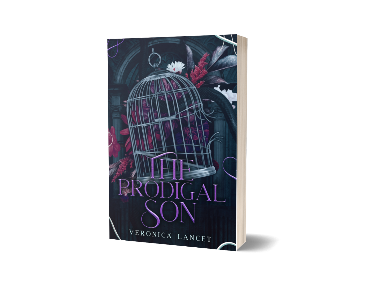 Dark Contemporary Paperbacks